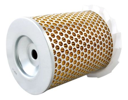 Imagen para la categoría Filtro Aire motor