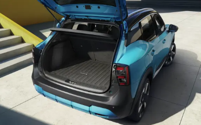 Imagen de ALFOMBRA CAJUELA