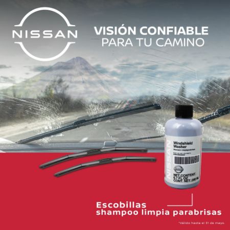 Imagen para la categoría Escobillas limpia parabrisas