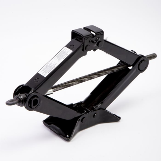 Imagen de GATA TIJERETA