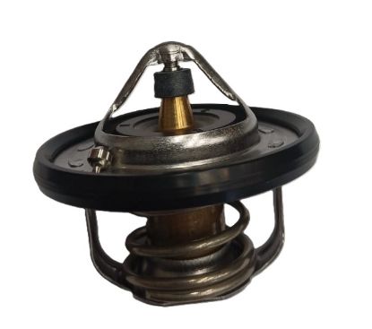 Imagen de TERMOSTATO 82